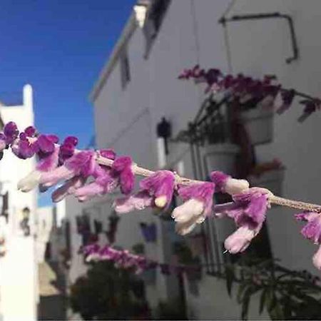 Casa Arena Y Sal En Pleno Casco Antiguo De Vejer Villa เวเฮร์ เด ลา ฟรอนเตรา ภายนอก รูปภาพ
