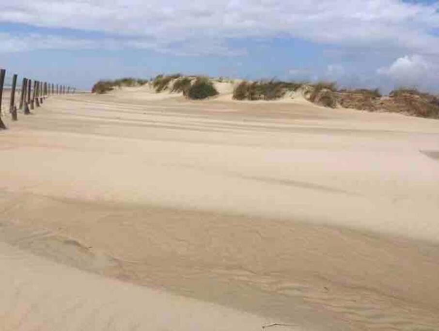 Casa Arena Y Sal En Pleno Casco Antiguo De Vejer Villa เวเฮร์ เด ลา ฟรอนเตรา ภายนอก รูปภาพ